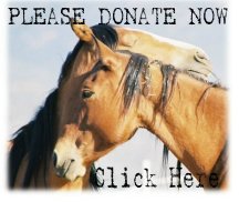 Donate Now